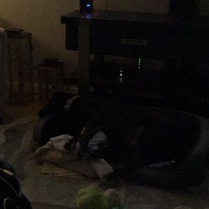 Meet your Posher, Dawn